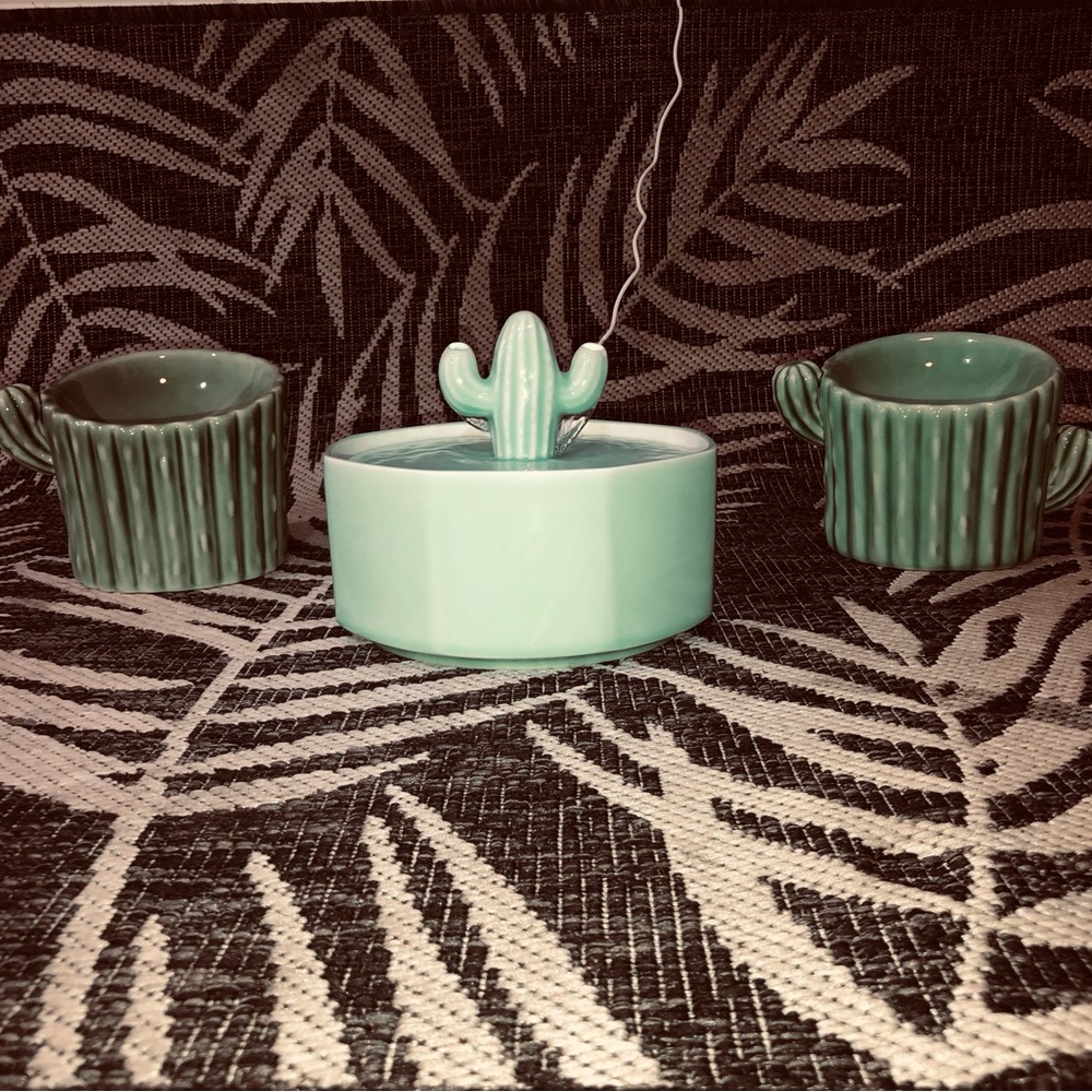 NEW Cactus Cat Water Fountain USB & HARRY & POLLY  (2) Elevated Cat Food Bowls